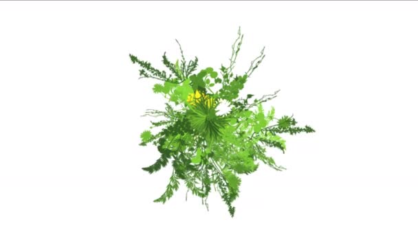 4 k 緑豊かな花葉低木の茂みの植物の草の成長作物. — ストック動画