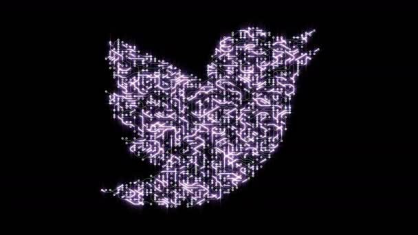 China-Apr 12,2018: 4k circuito elettronico a forma di logo twitter . — Video Stock