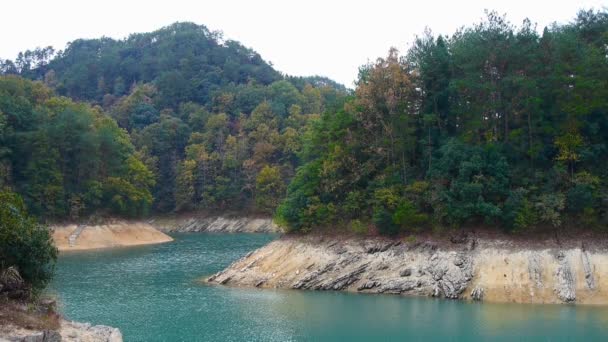 Bosque Sobre Isla Lago Verde Oscuro — Vídeo de stock