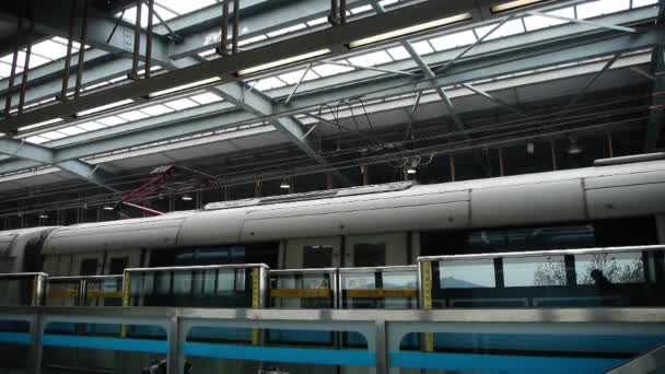 Station de métro shanghai, foule de gens occupés à l'intérieur du train dans la ville urbaine moderne . — Video