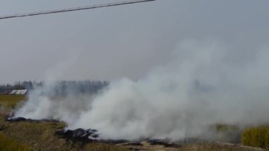 Çiftçiler yanan saman alanları, Çin,