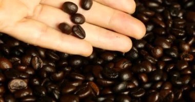 4k kahve çekirdeği el ile seç, kafein gıda malzemesi, lezzetli yemekleri fasulye içecekler