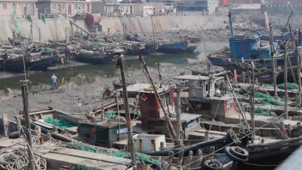 Barche in porto, lavoratori puliscono il fango dell'estuario . — Video Stock