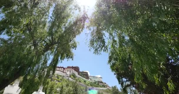 4k Potala mit Weiden in Lhasa, Tibet. — Stockvideo