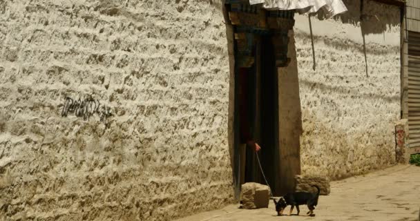 Augusti 6, 2019:4K Tibet tradition hus med religion mönster, Lhasa bosatt område. — Stockvideo