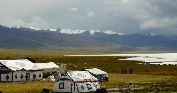 4 k 云大众滚过西藏湖纳木措，牧民帐篷里，一群牛. — 图库视频影像