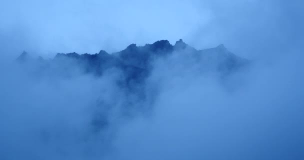 Brume de montagne 4k se levant le matin, pins brumeux, comté de Bomi au Tibet . — Video