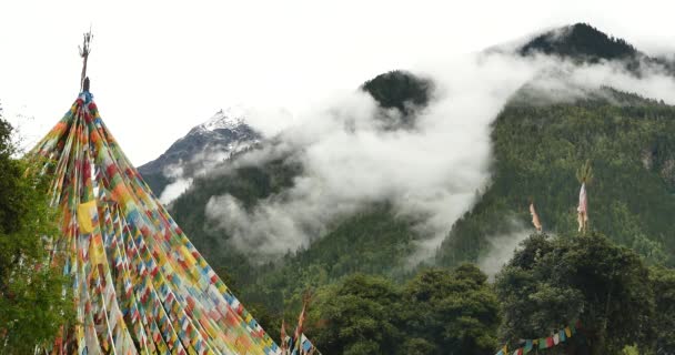 4k Gebetsfahne mit Schneeberg in Tibet. — Stockvideo