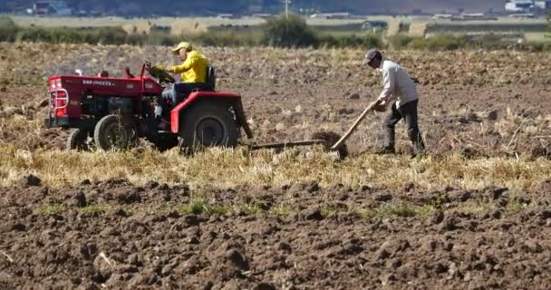 西藏人民使用农场拖拉机耕地在中国云南香格里拉 — 图库视频影像