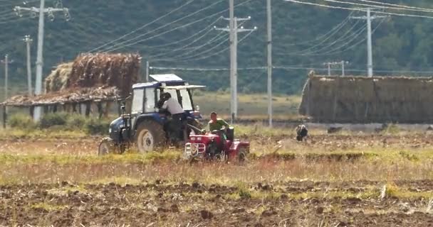 Tibetische Menschen Nutzen Ackerland Mit Traktor Shangrila Yunnan China — Stockvideo
