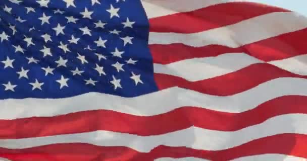 Amerikanische Flagge Flattert Wind — Stockvideo