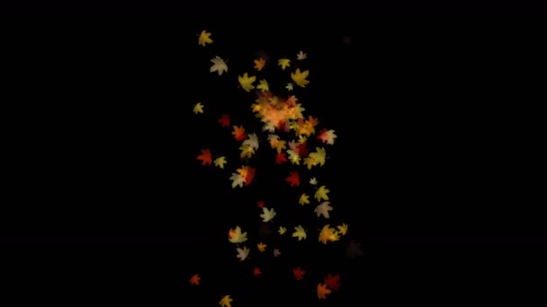 4 k Maple leaf laat vallen & flare licht, herfst vallen romantische deeltje artistieke. — Stockvideo