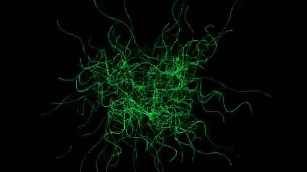 4k Abstratct curve lines wave background, wind rope particle, worms messy signal . — Vídeo de Stock