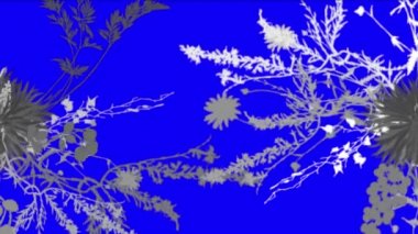 4 k yemyeşil çiçek bitkileri büyüyen otlar çalılar çalılar bitki yaprakları.