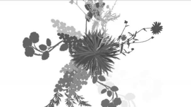 4k fleurs luxuriantes feuilles cultures arbustes buissons plante herbe croissance . — Video