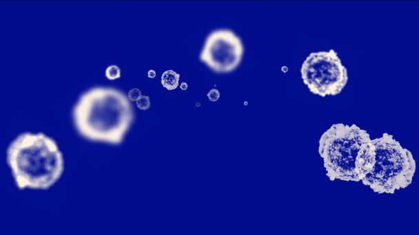 4 k abstracte cellen virus stof deeltjes achtergrond. — Stockvideo
