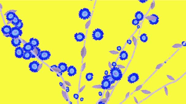 黛西的 成长春天的迎春分支植被植物花 — 图库视频影像