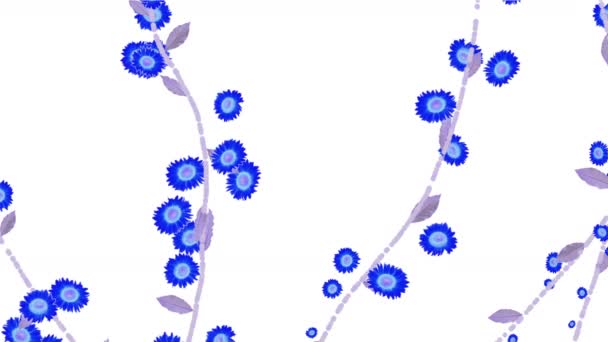 黛西的 4 k 成长春天的迎春分支植被植物花. — 图库视频影像