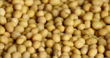 4 k soya fasulye closeup, tohum gıda ham madde, lezzetli yemekler tohum fasulye.