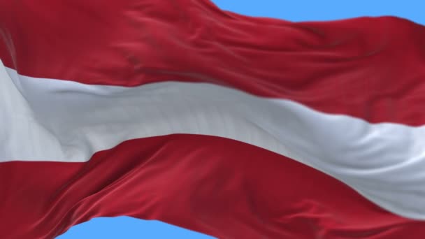 4k inconsútil Primer plano de la bandera de Austria ondeando lentamente en el canal wind.alpha incluido — Vídeo de stock