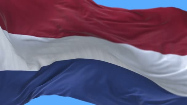 4k nahtlose Nahaufnahme der niederländischen Flagge, die langsam im Wind.alpha-Kanal weht. — Stockvideo
