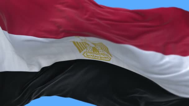 4K безшовні крупним планом Єгипет прапор повільно розмахуючи в вітрі. альфа-канал включений. — стокове відео
