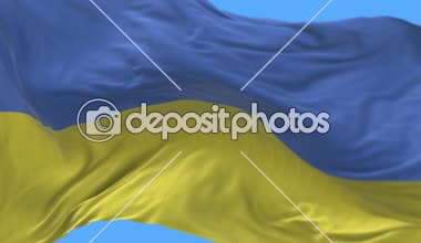 4k sorunsuz Yakın Ukrayna bayrağı yavaş wind.alpha kanal sallayarak kadar dahil