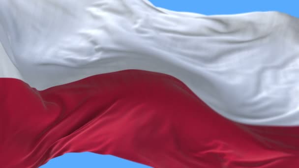 4k sem emenda Close up de polônia bandeira lenta acenando no canal wind.alpha incluído . — Vídeo de Stock