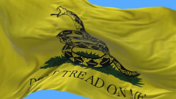 4k Animacja flagi Gadsden czasami nazywana flagą Tea Party. — Wideo stockowe