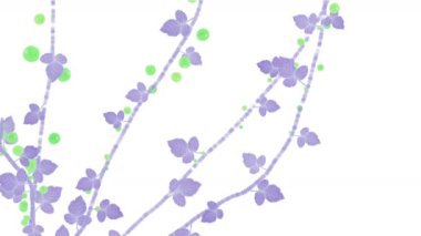 4 k artan bahar berry meyve bitki örtüsü bitki dalları.