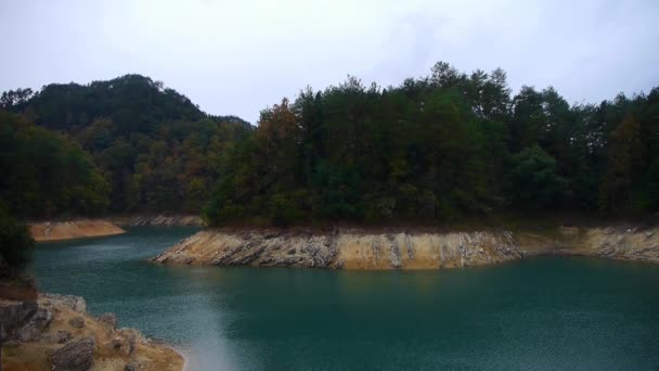 Foresta sopra l'isola e lago verde scuro . — Video Stock