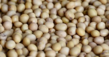 4 k soya fasulye closeup, tohum gıda ham madde, lezzetli yemekler tohum fasulye.