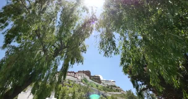 4k Potala mit Weiden in Lhasa, Tibet. — Stockvideo