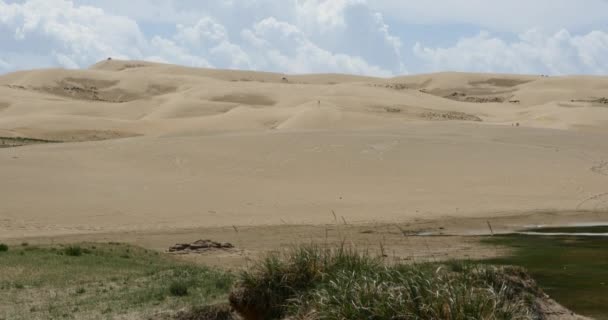 4k gran masa de nubes hinchadas blancas rodando sobre dunas de arena del desierto . — Vídeos de Stock