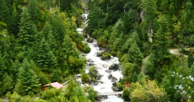 4 k şelale akan iğne yapraklılar, Bomi İlçesi, tibet vadisinde, yeşil.