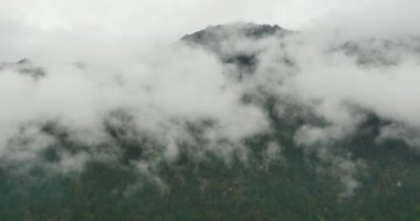 sabah sis çam ağaçları, Bomi İlçesi Tibet'te yükselen 4 k dağ sis.
