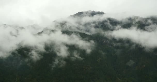 4k timelapse mountain mist rising in the morning, fog trees, Bomi County, tibet . — стоковое видео