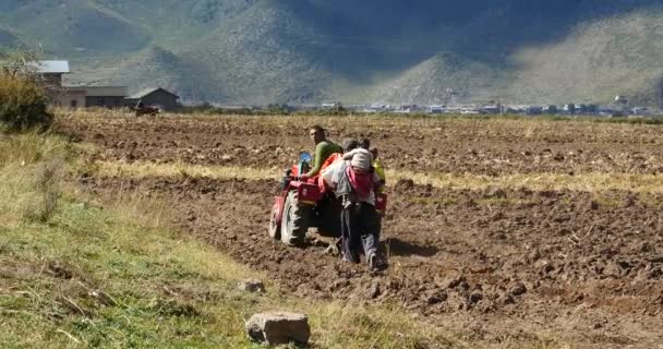 4 k tibeti emberek használ farm traktor szántóföld-shangrila yunnan, Kína. — Stock videók