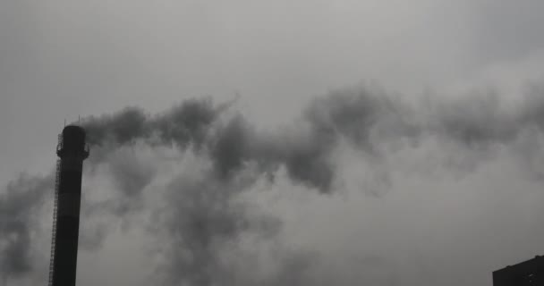 4k rook uit de schoorsteen van de industrie, energie generatie pijp met rook billow. — Stockvideo