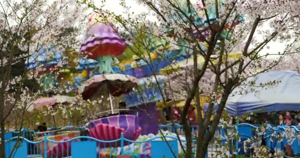 4 k πάρκο παιδική χαρά εναντίον sakura φόντο, κεράσι άνθη στην Κίνα. — Αρχείο Βίντεο