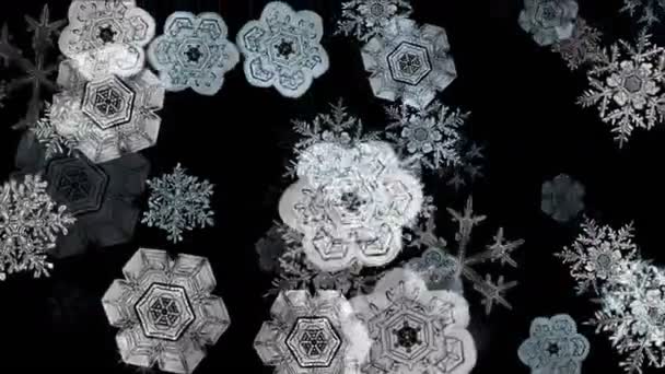 4 k Snowflake φθινόπωρο, χειμώνα χιόνι υπόβαθρο, ρομαντικό σκηνικό σωματίδια Χριστούγεννα. — Αρχείο Βίντεο