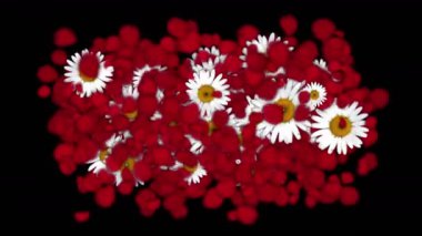 4 k gül yaprakları daisy çelenk düğün günü arka plan şeklinde.