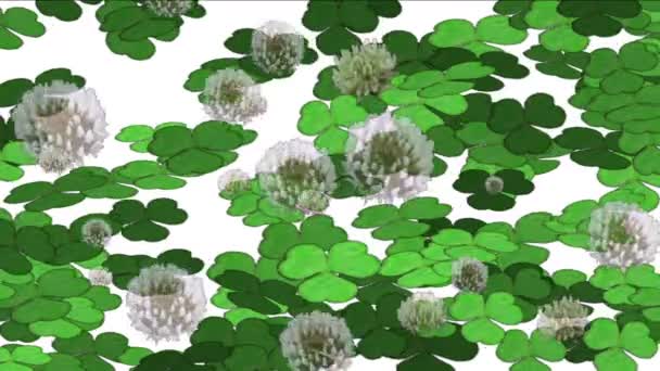 4 k クローバー タンポポ発芽の芝生草植生植物の背景. — ストック動画