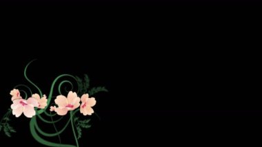 4k yemyeşil Çiçek yaprağı bırakır kelebek büyüyen bodur çalılar bitki çim bitkileri.