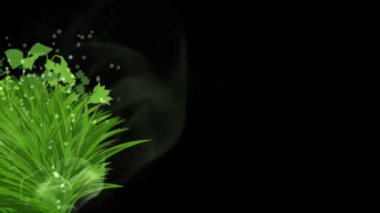 4 k yemyeşil çiçek bitkileri büyüyen otlar çalılar çalılar bitki yaprakları.