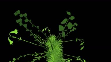 4 k yemyeşil çiçek bitkileri büyüyen otlar çalılar çalılar bitki yaprakları.