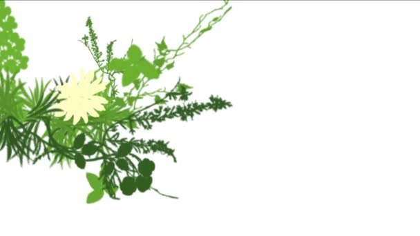 4k üppige Blume Blätter Pflanzen Sträucher Sträucher pflanzen Gras wachsen. — Stockvideo