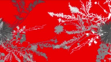 4 k yemyeşil çiçek bitkileri büyüyen otlar çalılar çalılar bitki yaprakları.