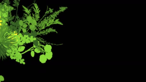 4k fleurs luxuriantes feuilles cultures arbustes buissons plante herbe croissance . — Video