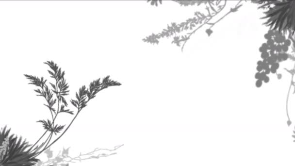 4k пишне листя квітів культури кущі вирощування трави . — стокове відео